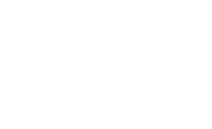 VinUni Career Connect logo